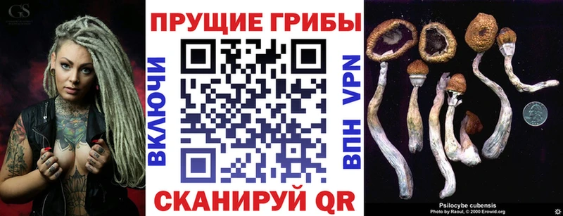 Галлюциногенные грибы Psilocybine cubensis  сайты даркнета какой сайт  Аткарск 